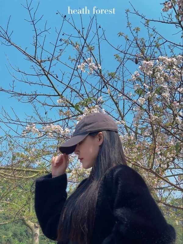 精彩照片
