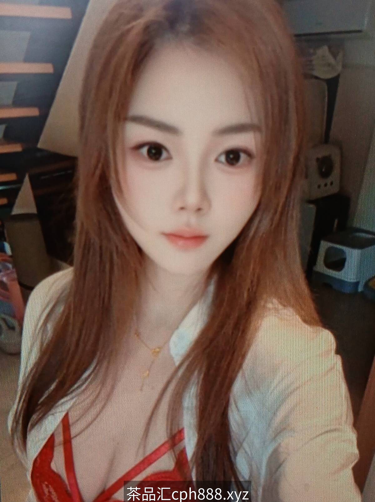精彩照片